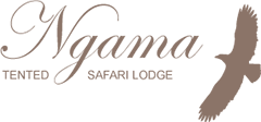 Ngama Tented Safari Lodge